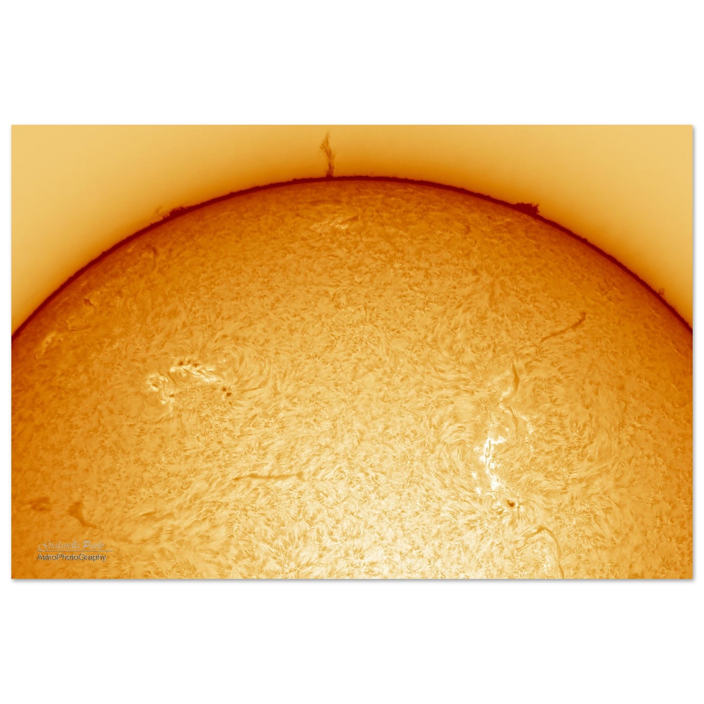 7c5194d6-7c38-459a-80e7-ed885dfd77de