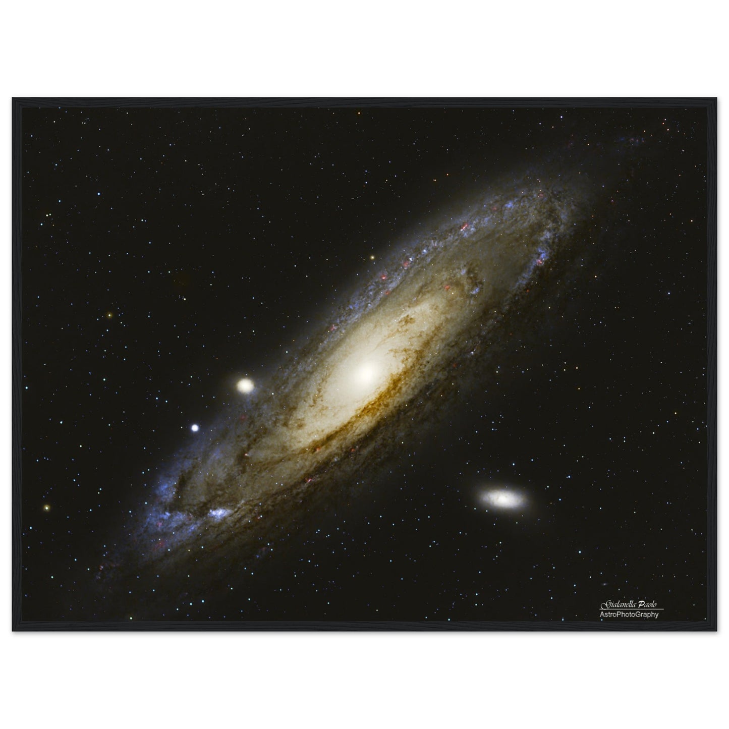 82d821cf-47b6-419c-bcbc-148ba592247b
