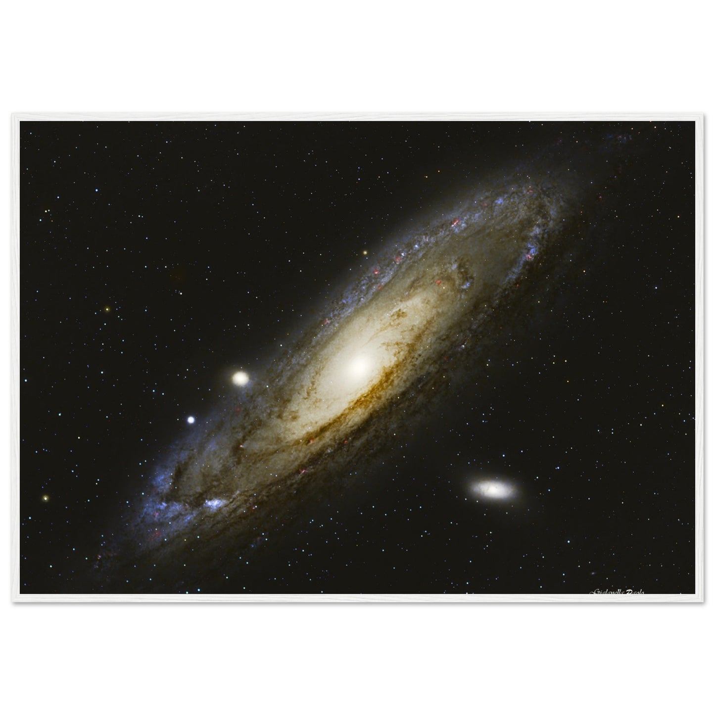 ca19d7b6-ecdb-47c6-b503-bdf576c6bf51