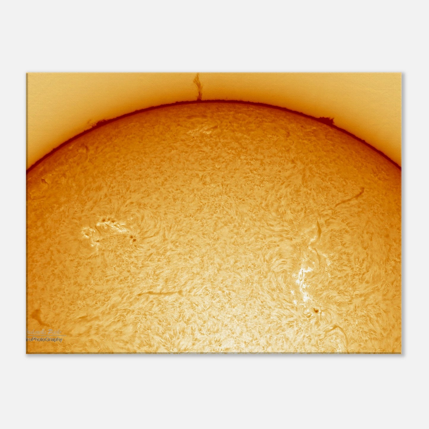 d3835961-827d-48d8-a26d-a95e0f68d324