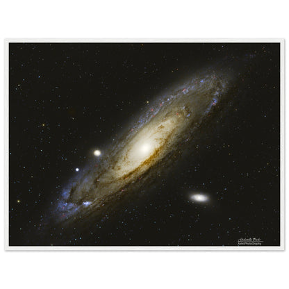 02845a98-29fc-46e3-9355-a31cc68b1321