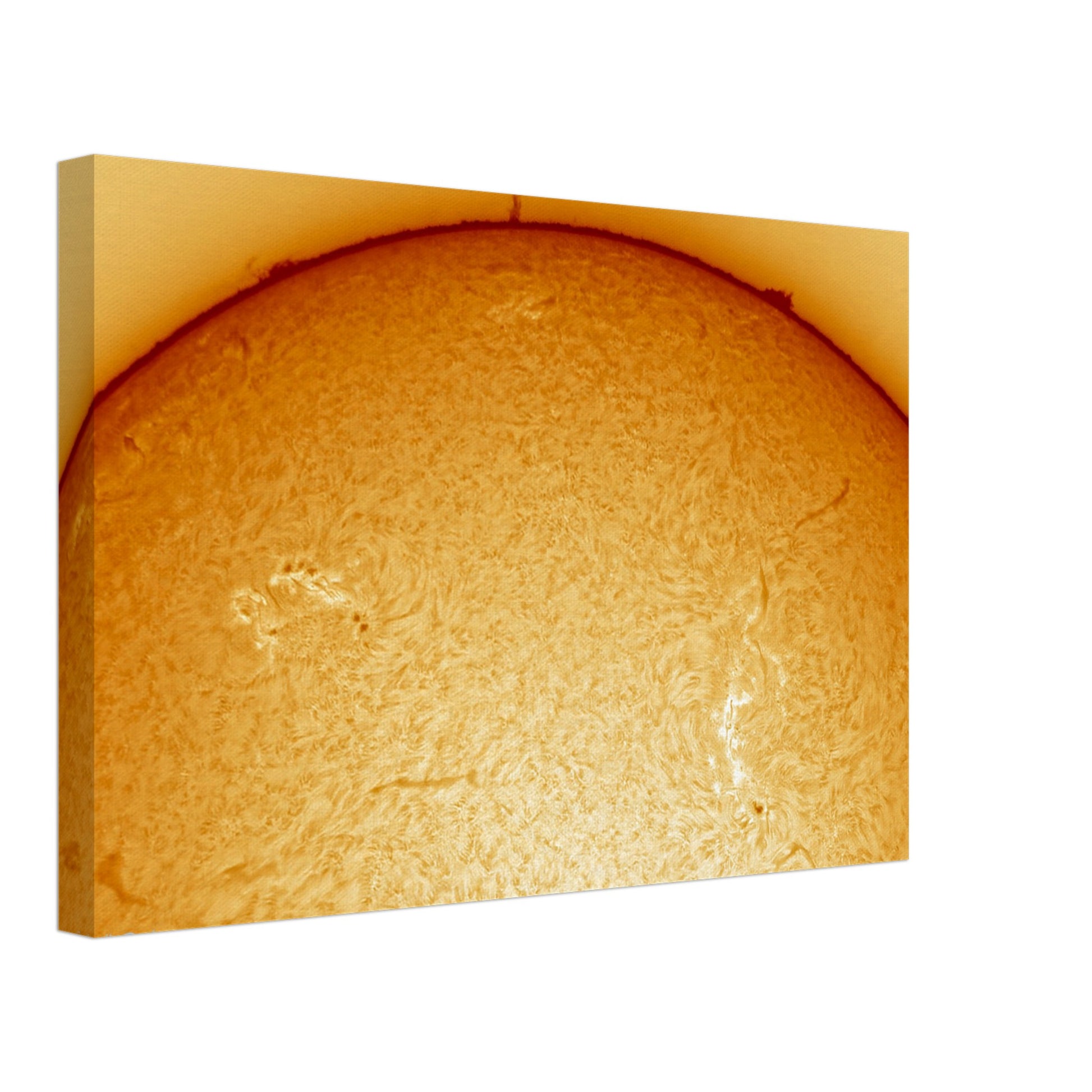 131e5c22-f967-4b2a-92dc-5e021130a26b