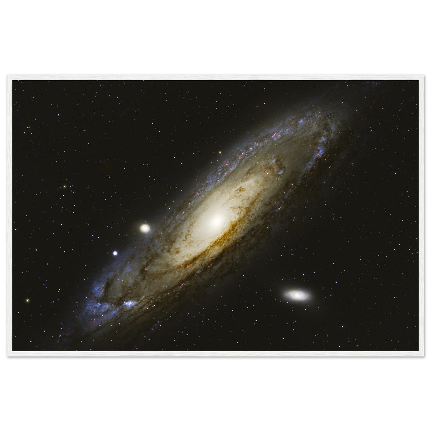 5b322850-0127-4488-be28-41931c575be2