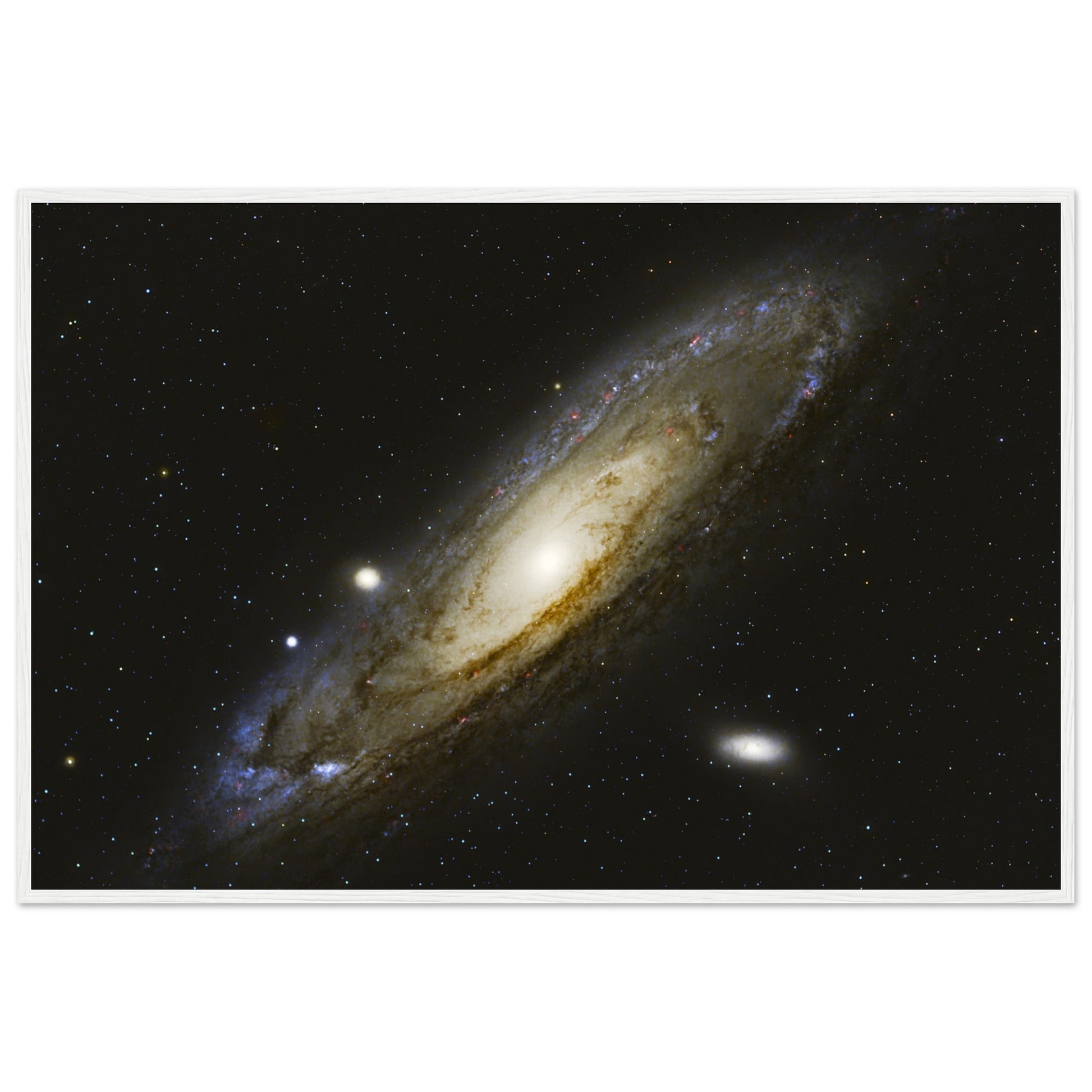 5b322850-0127-4488-be28-41931c575be2