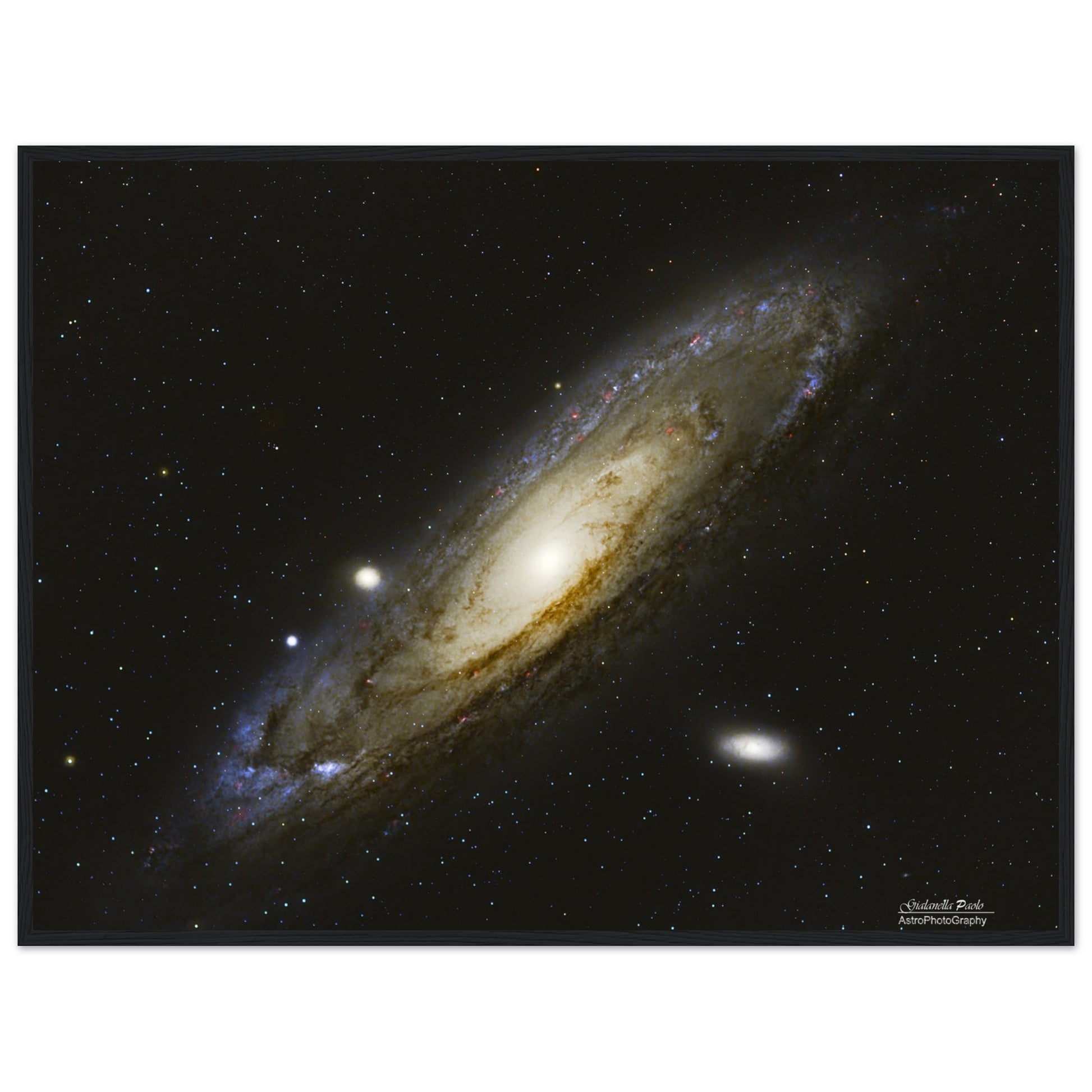 82d821cf-47b6-419c-bcbc-148ba592247b
